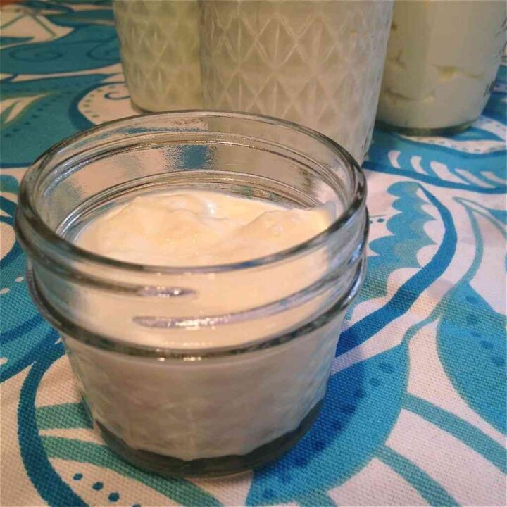 how to make thick greek yogurt Fit Mama Real Food