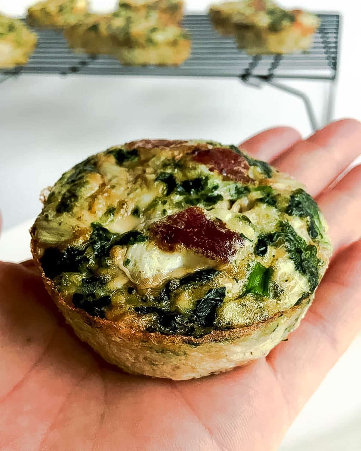 Bacon, Spinach and Tomato Egg Bites - The BakerMama