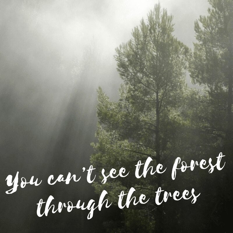 You can't see the forest through the trees || post partum depression has its own story
