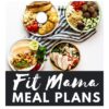 adaptogens explained - #87 fit mama real food radio – Fit Mama Real Food
