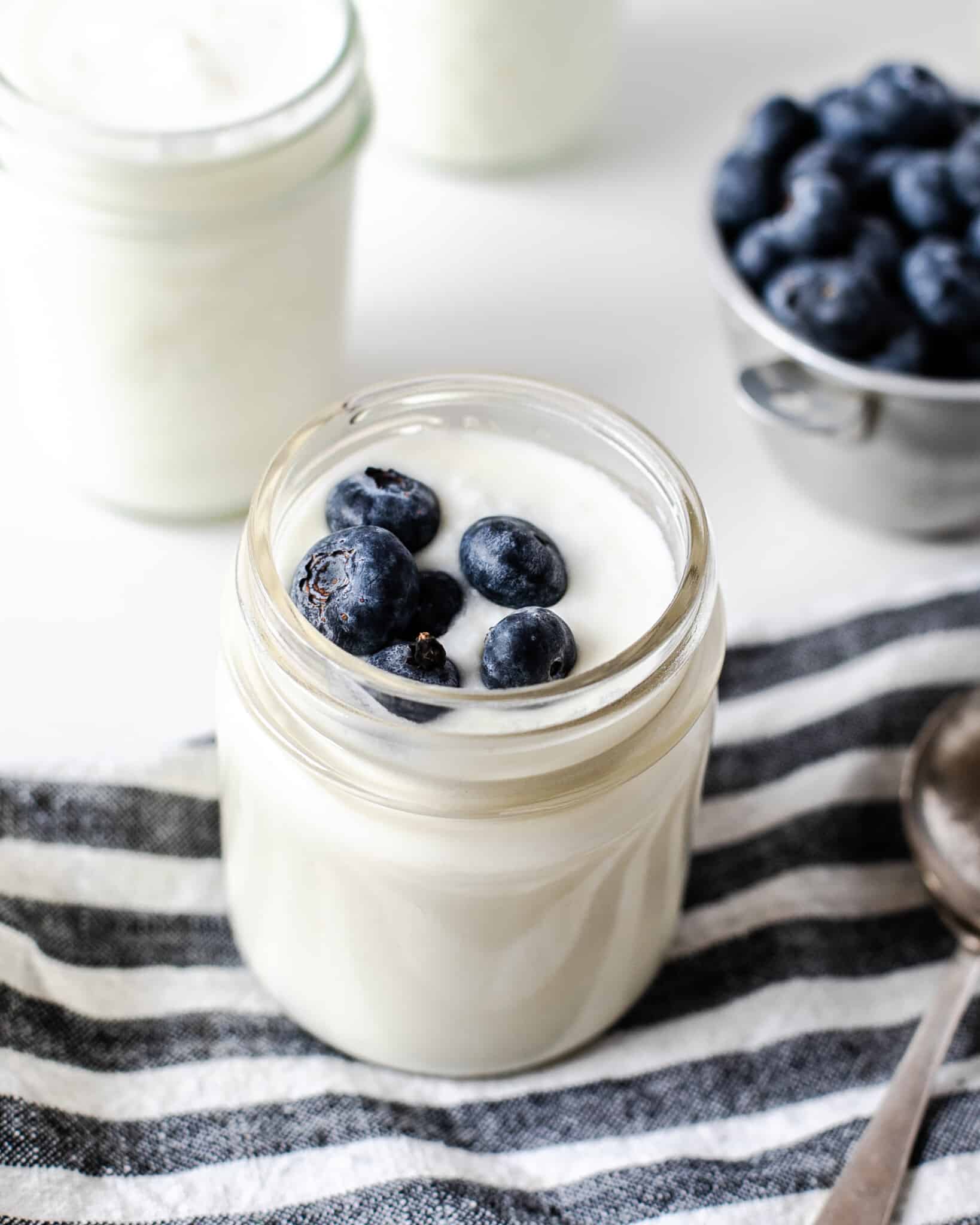 Homemade Crockpot Yogurt (Greek Yogurt How To Included!) Fit Mama Real Food