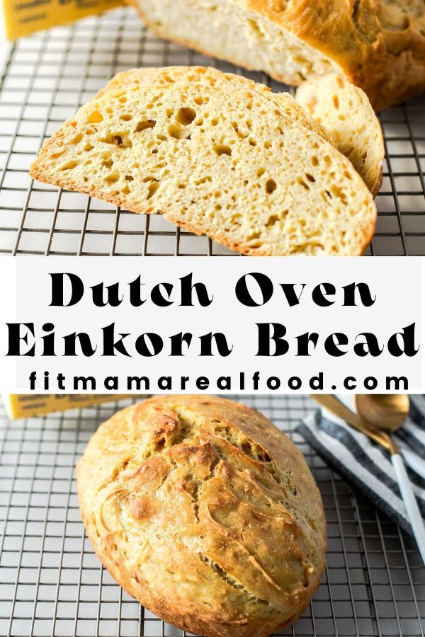 Crusty No Knead Einkorn Bread Recipe Dutch Oven Fit Mama Real Food