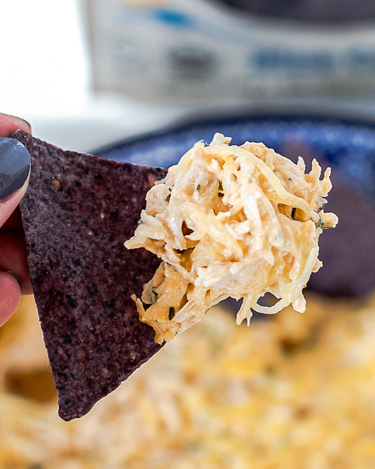 high protein buffalo chicken dip