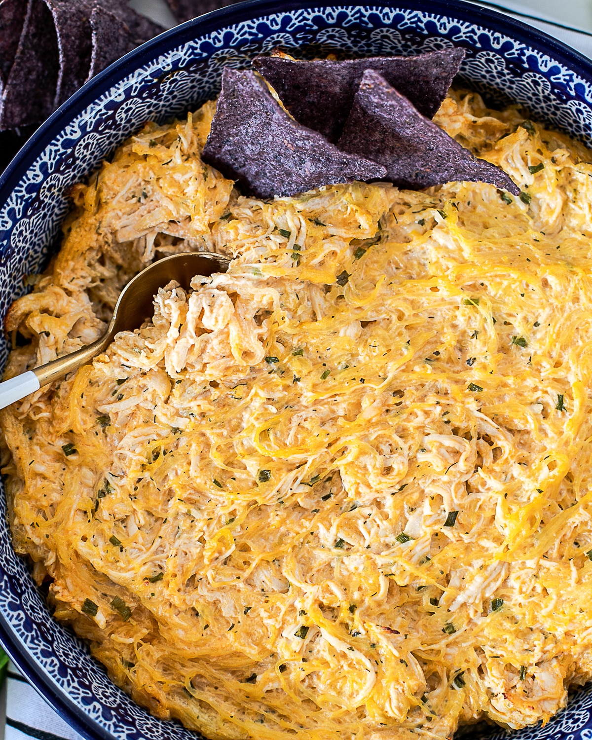 buffalo chicken spaghetti squash
