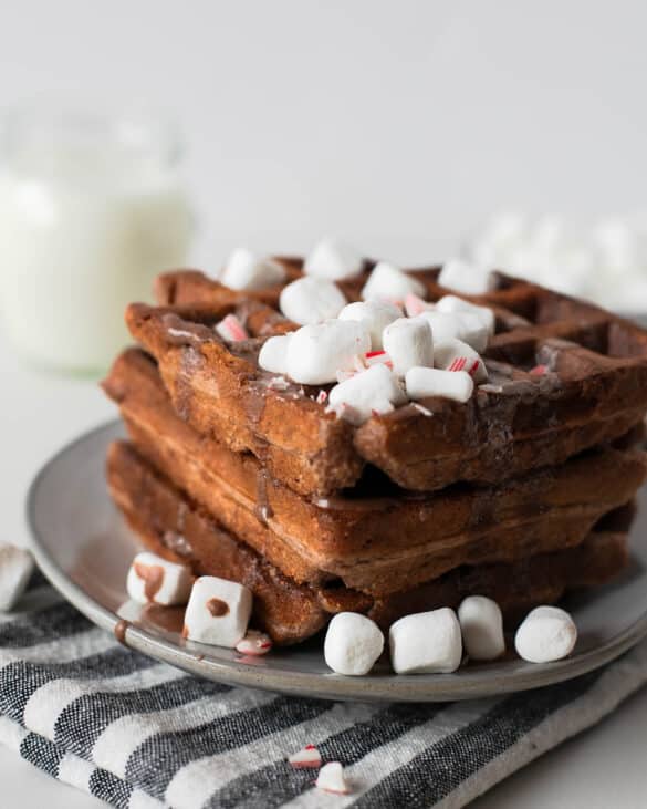 hot chocolate protein waffles