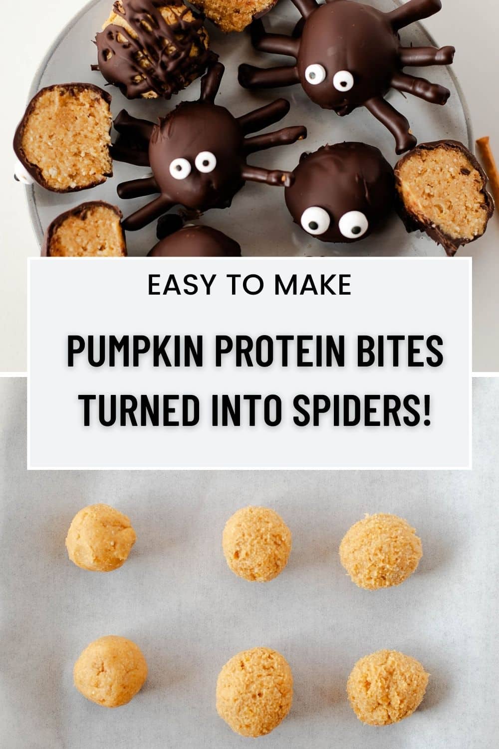 spider pumpkin protein bites